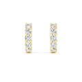 Lab Grown Diamond EARRINGS 0.99 ctw E32681-1