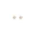 Lab Grown Diamond Bezel Setting Earring 0.25 ctw E32903-0.25CT